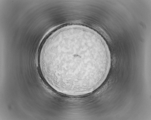 X0000114551036200911161414