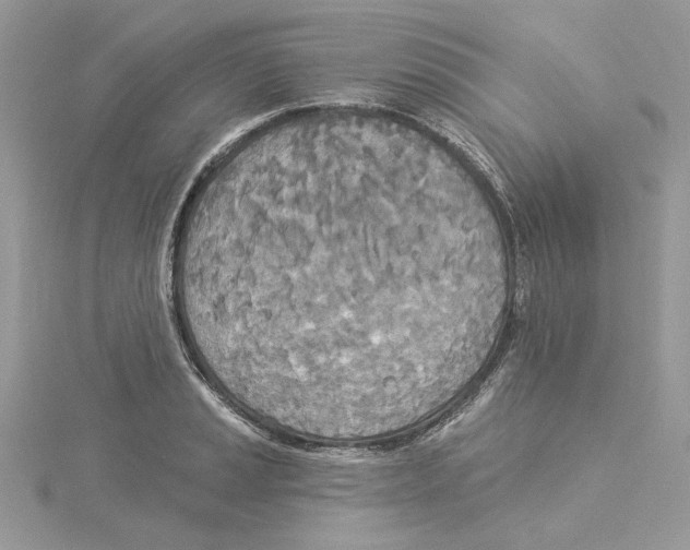 X0000114551037200911161414