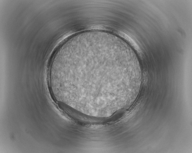 X0000114551043200911161415
