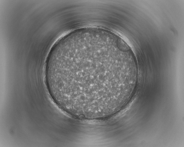 X0000114551045200911161415