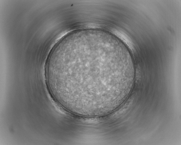 X0000114551047200911161415