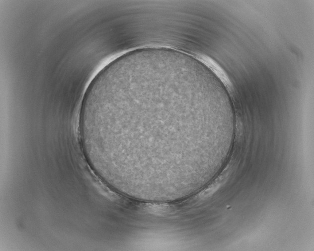 X0000114551052200911161415