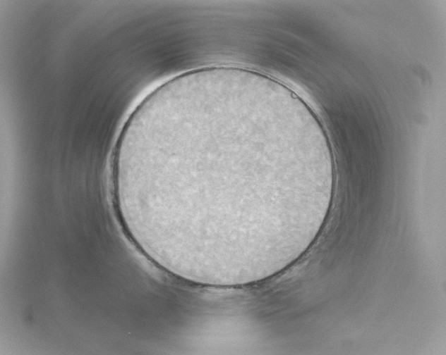 X0000114551056200911161415