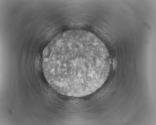 X0000114551059200911161414