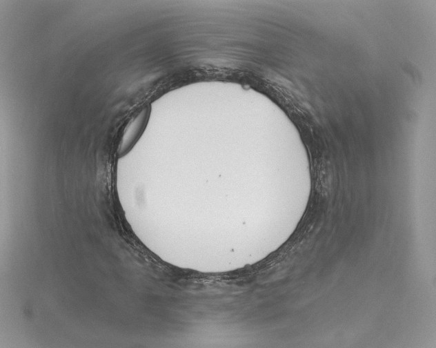 X0000114551061200911161414
