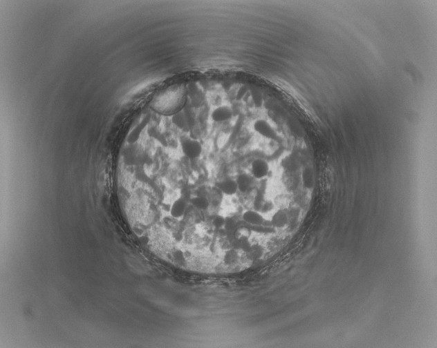 X0000114551063200911161414