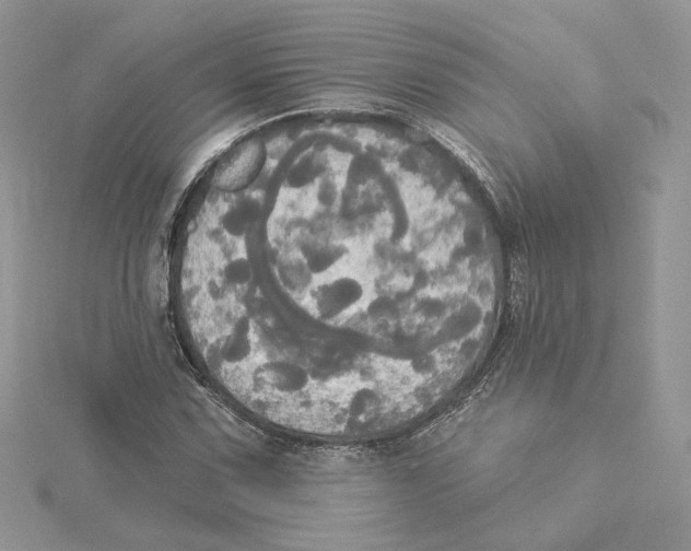X0000114551067200911161414