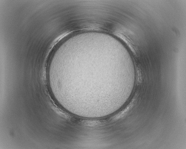 X0000114551074200911161414
