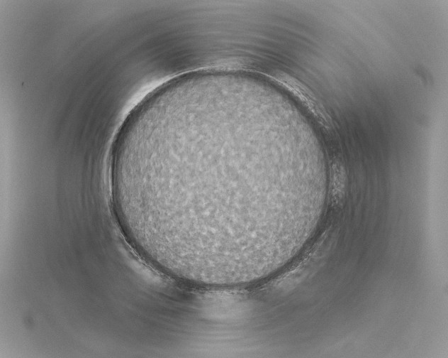 X0000114551078200911161414