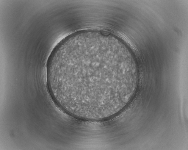 X0000114551079200911161414