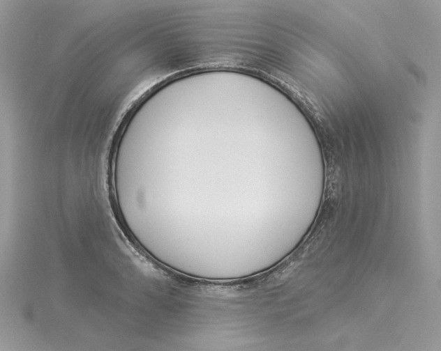 X0000114551086200911161414