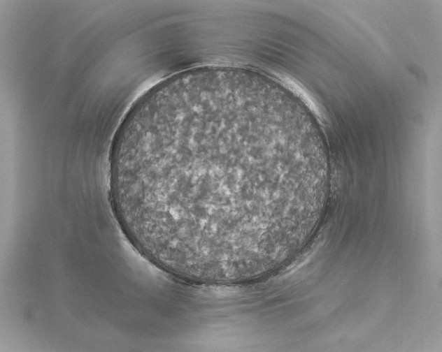 X0000114551095200911161414