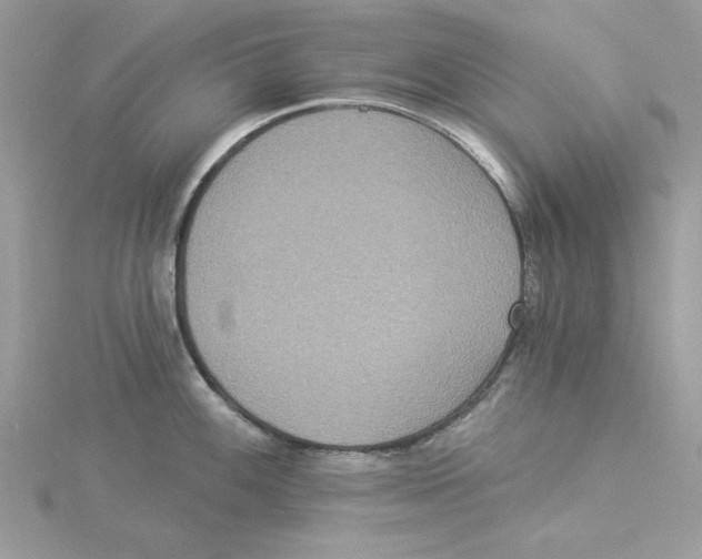 X0000114551100200911161414