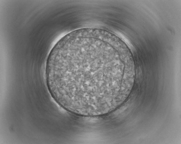 X0000114551103200911161414