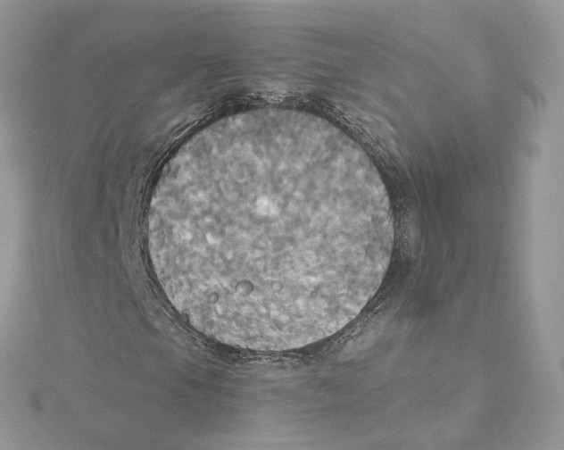 X0000114551105200911161413