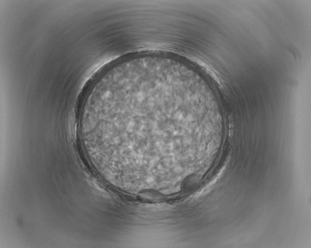 X0000114551117200911161413
