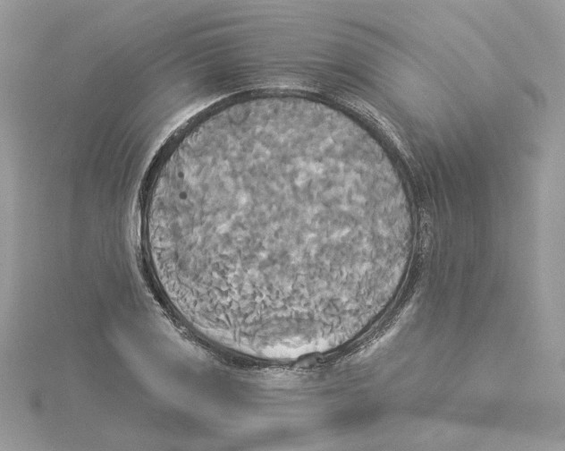 X0000114551125200911161413
