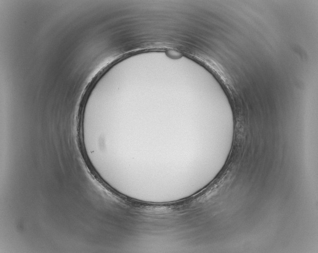 X0000114551135200911161413