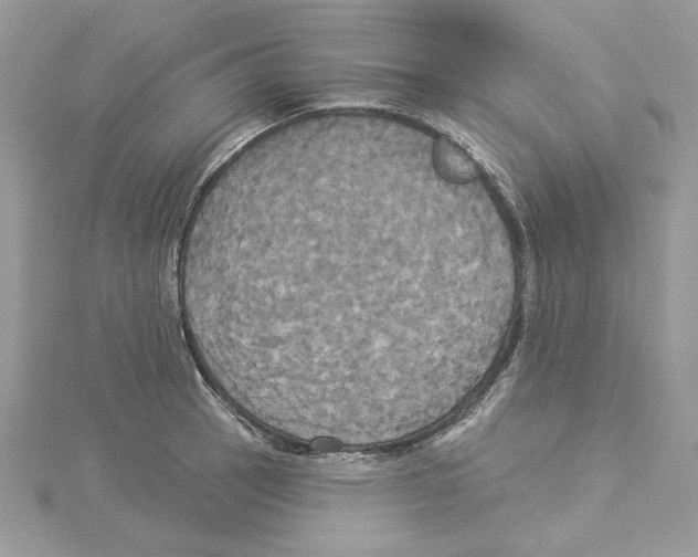 X0000114551137200911161413