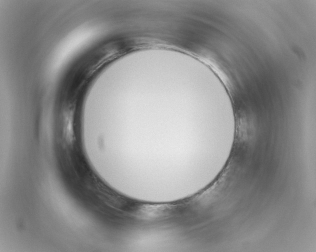 X0000114551150200911161413