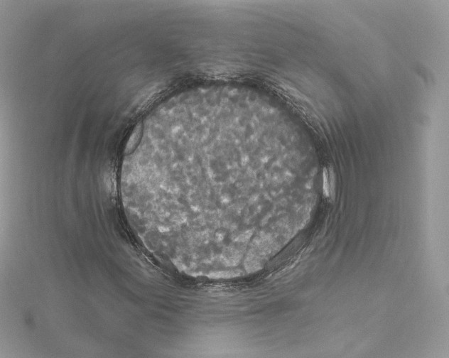 X0000114551155200911161413