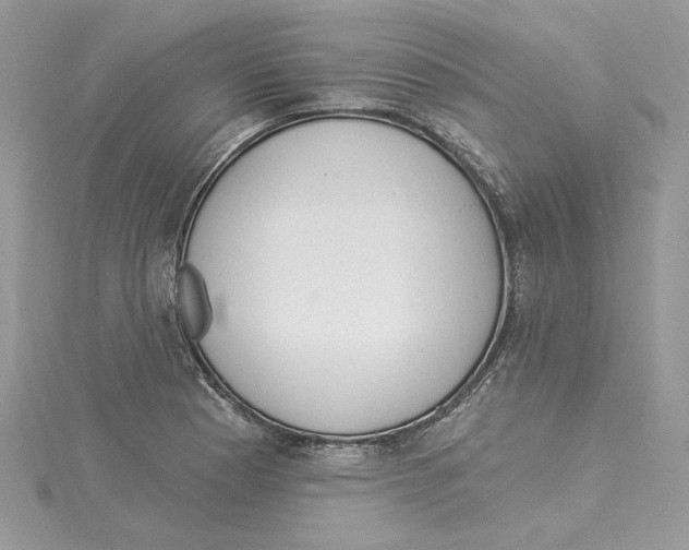X0000114551177200911161412