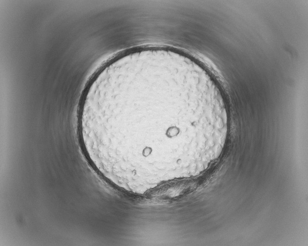 X0000114551183200911161412