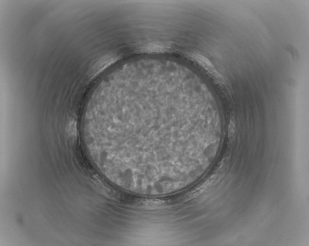 X0000114551209200911161412