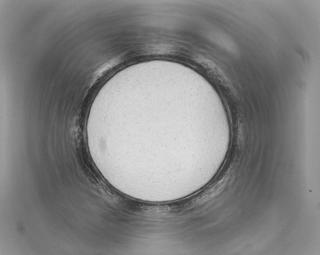 X0000114551210200911161412