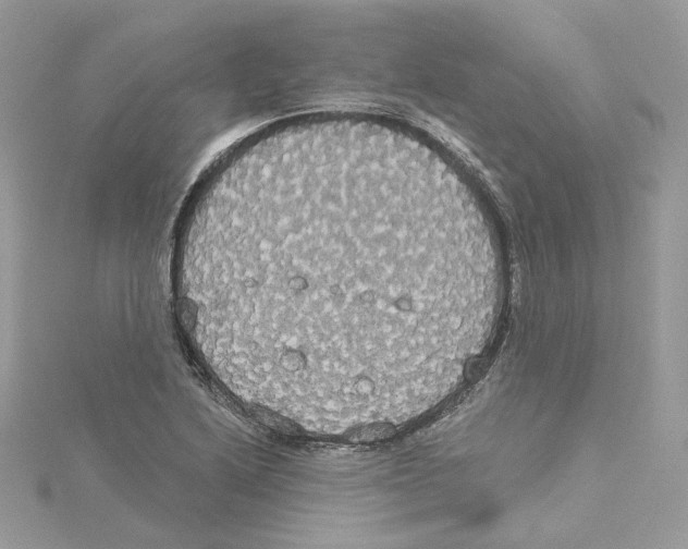 X0000114551222200911161412