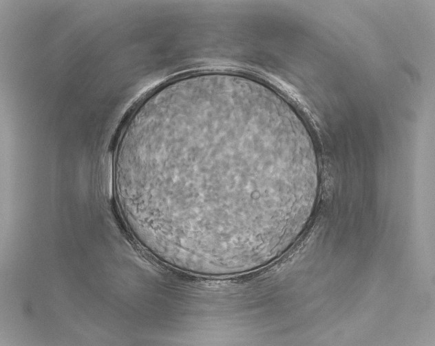 X0000114551223200911161412