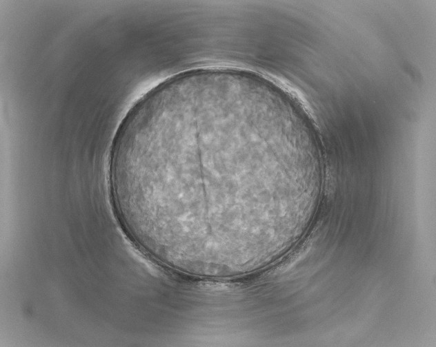 X0000114551231200911161412