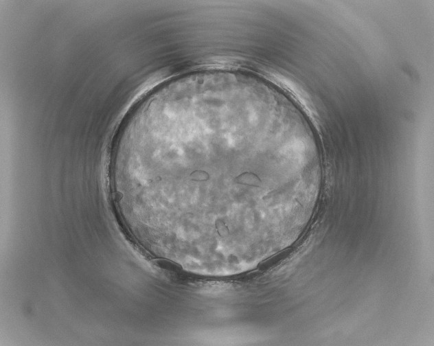 X0000114551235200911161412