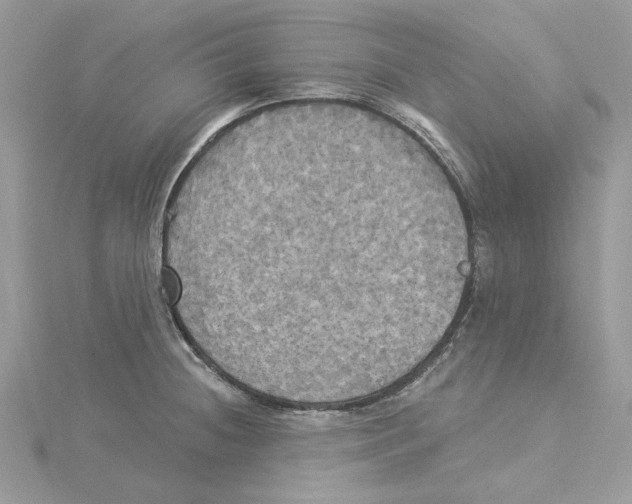 X0000114551236200911161412