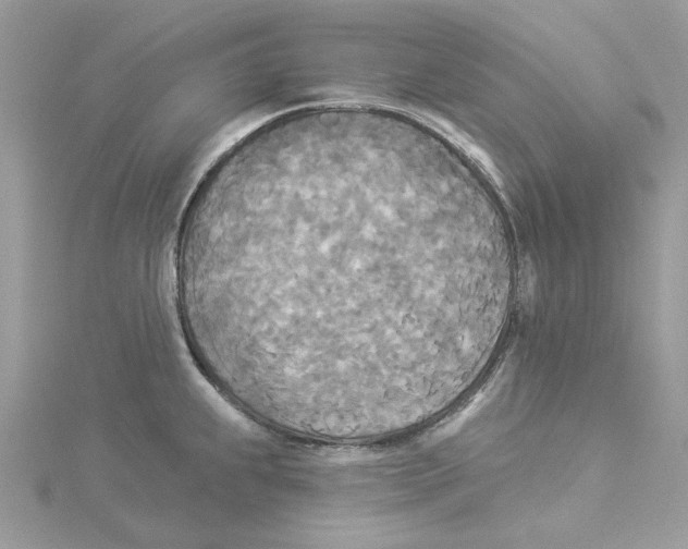 X0000114551239200911161412