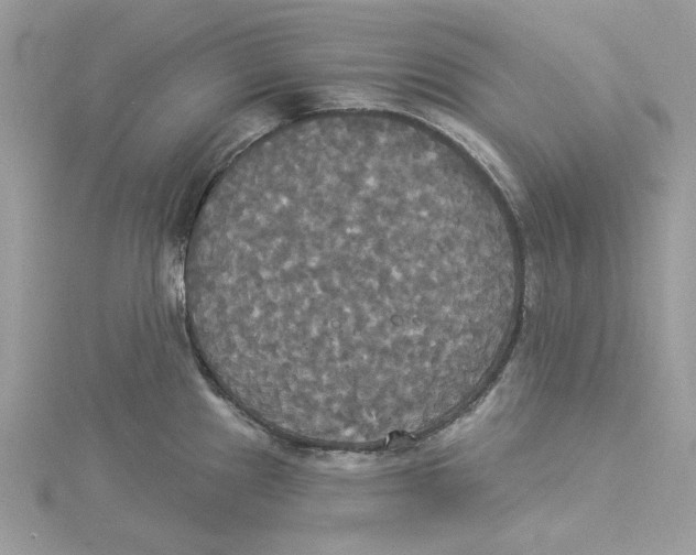 X0000114551241200911161412