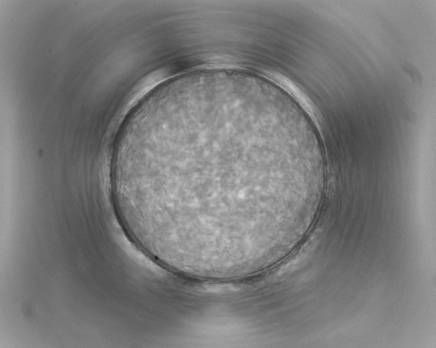 X0000114551243200911161412