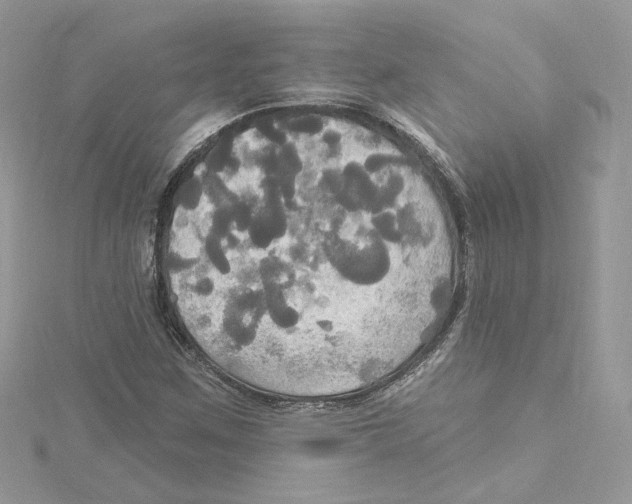 X0000114551259200911161411