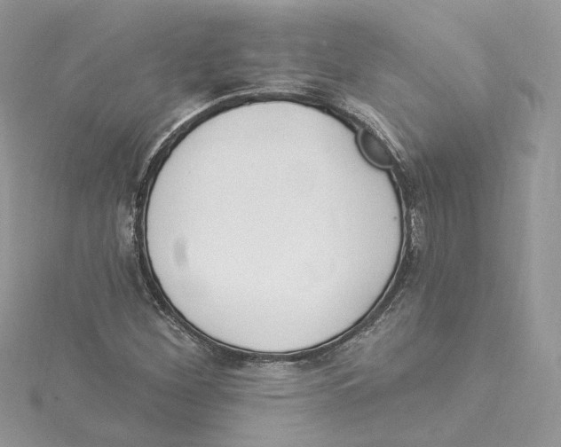 X0000114551260200911161411