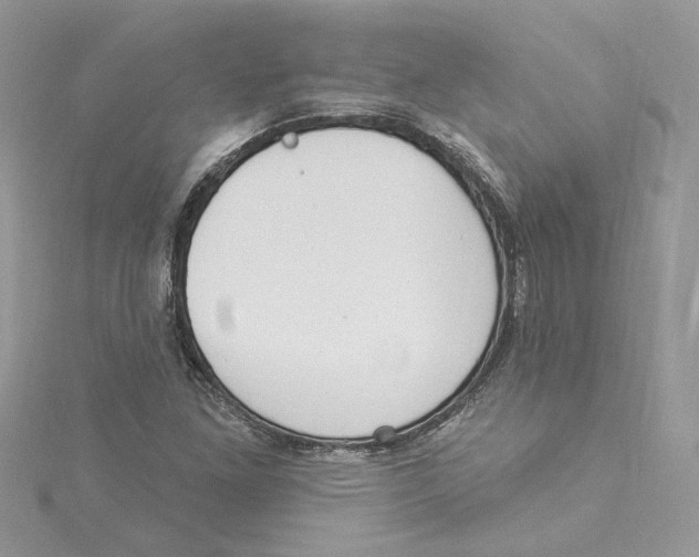 X0000114551261200911161411