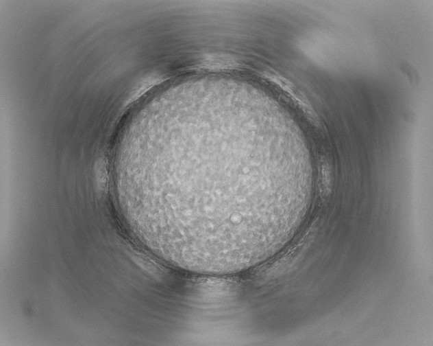 X0000114551266200911161411