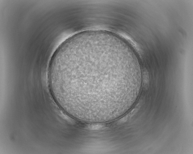 X0000114551278200911161411