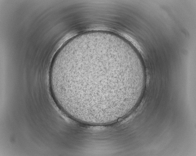 X0000114551282200911161411