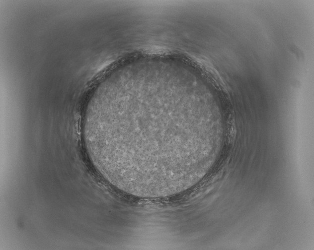 X0000114551301200911161410