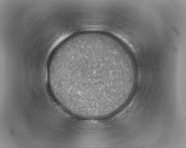 X0000114551317200911161410
