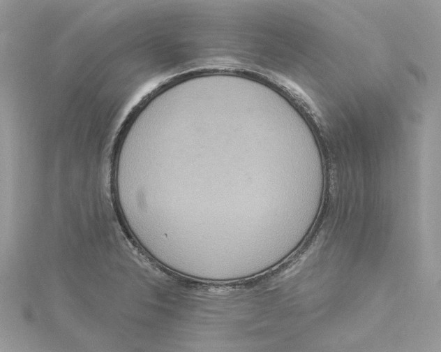 X0000114551326200911161411