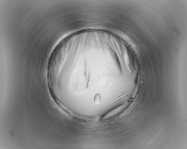 X0000114551334200911161411