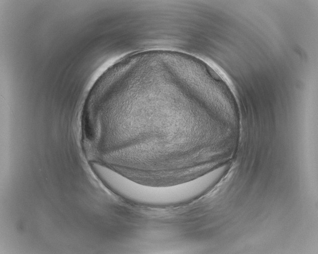 X0000114551341200911161411