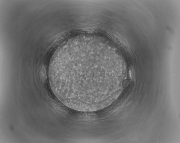 X0000114551347200911161410