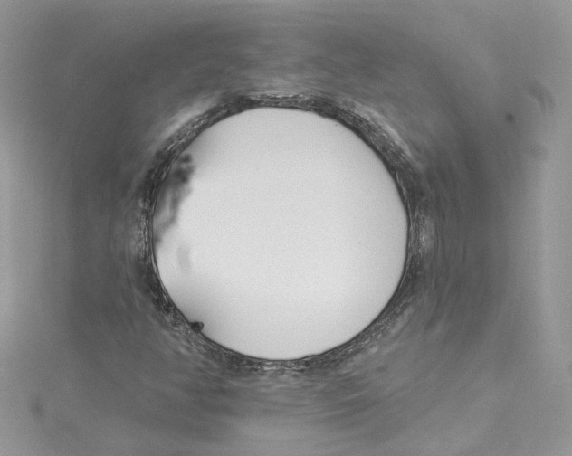 X0000114551350200911161410